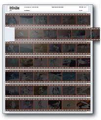Print Film Sleeve (ea)